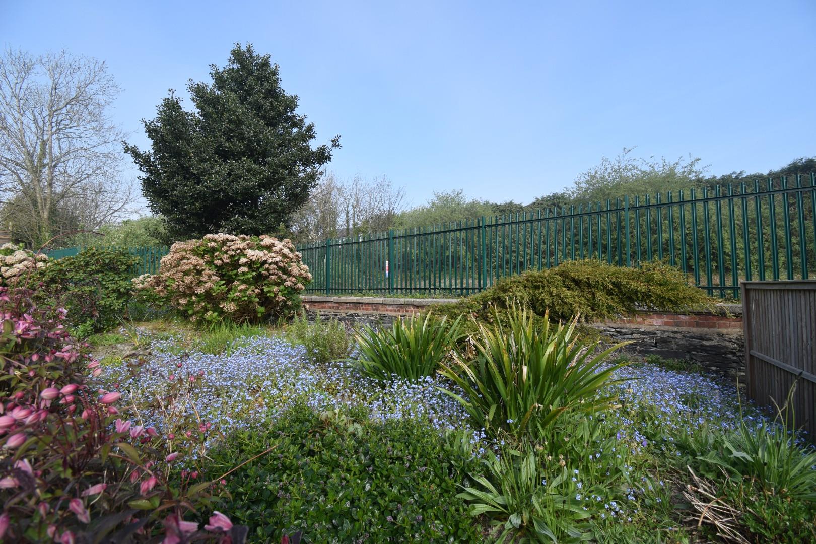 Wild Flower Garden.JPG